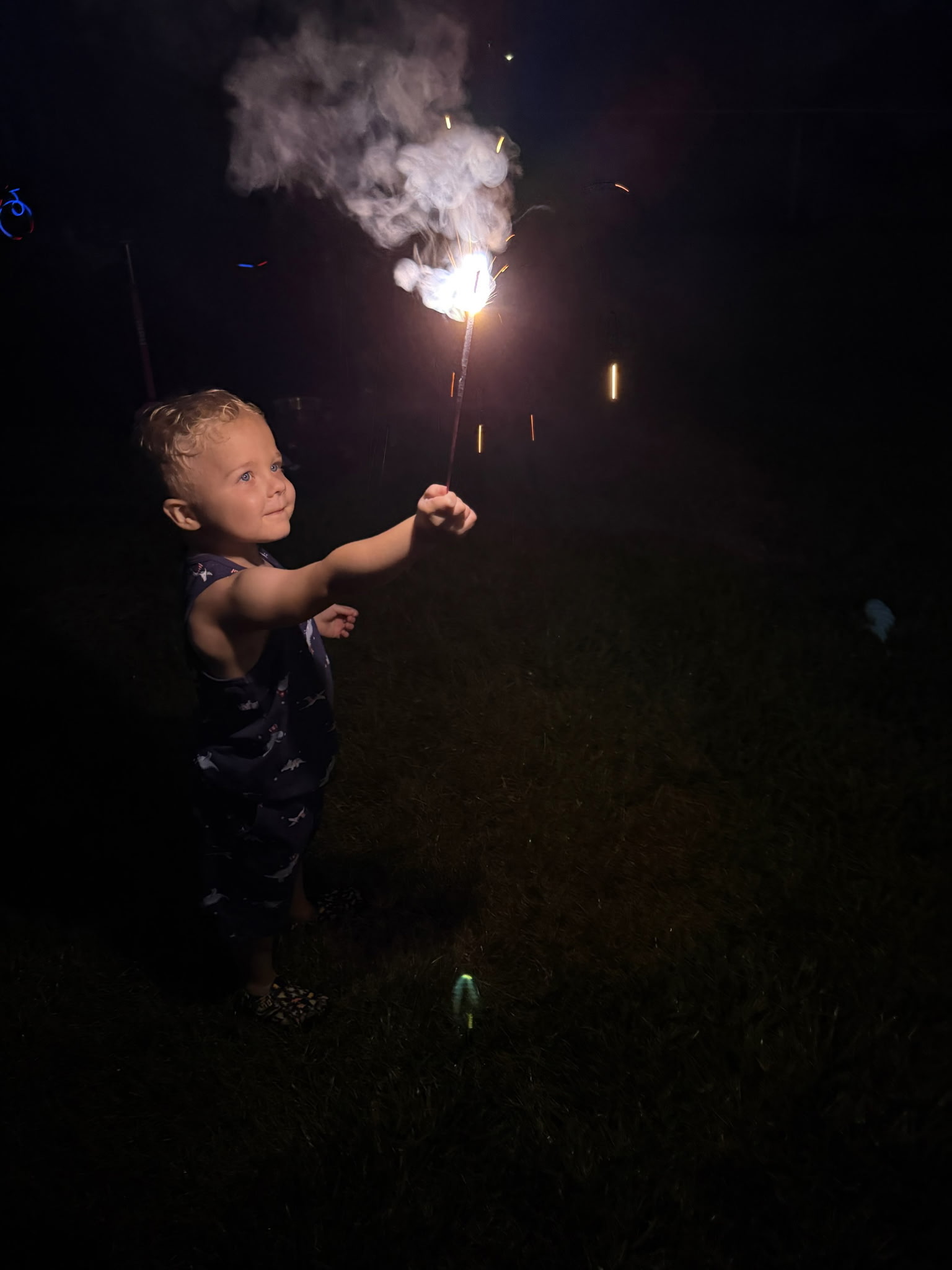 Lincoln outside on a summer night